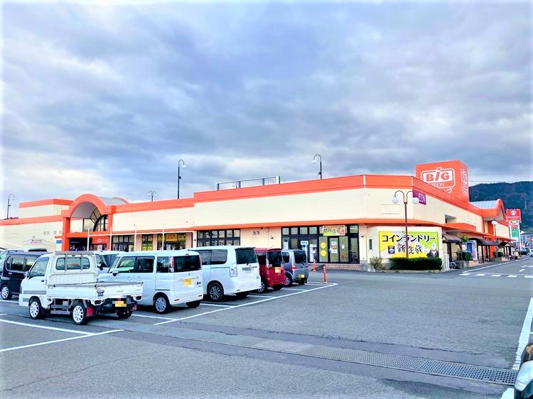 ザ・ビッグ鴨島店